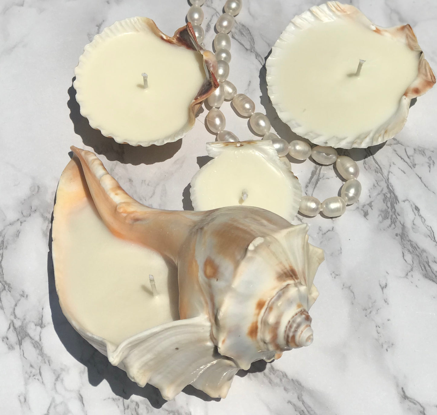 SHELL CANDLES