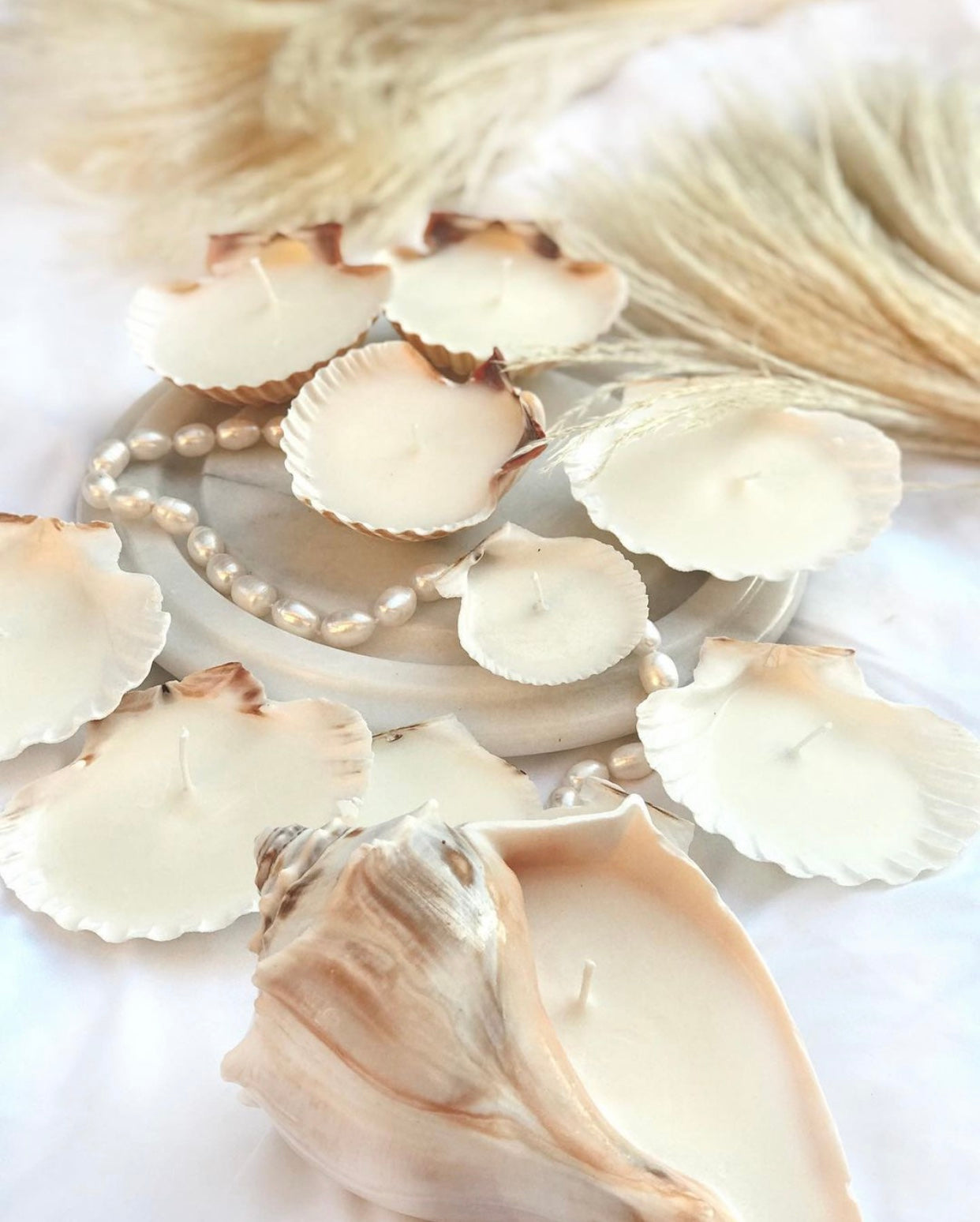 SHELL CANDLES