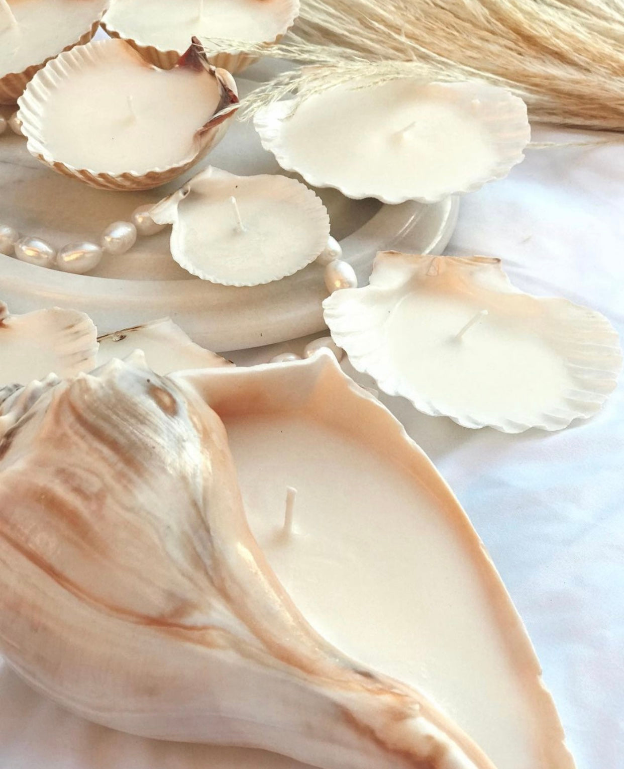 SHELL CANDLES